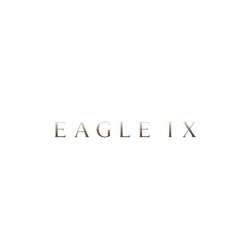 Logotipo da empresa EAGLE IX FINANCIAL