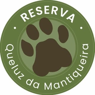 Logotipo da empresa EMBAUBA RESTAURANTE