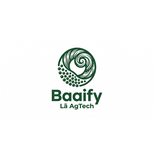 Logotipo da empresa BAAIFY INOVA SIMPLES (I.S.)