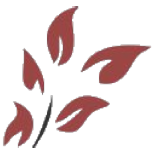 Logotipo da empresa SOFTWARE AND INNOVATION LTDA