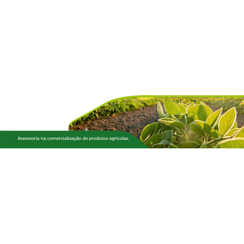 Logotipo da empresa AGROBELA