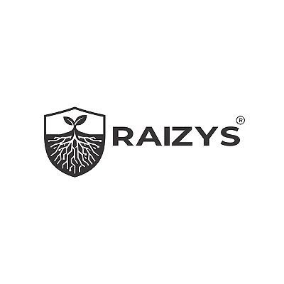 Logotipo da empresa RAIZYS SISTEMAS