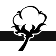 Logotipo da empresa INTERCOTTON- CORRETORA E LOGISTICA LTDA