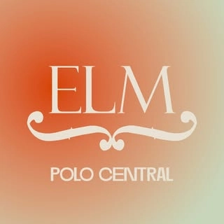 Logotipo da empresa LIMEIRA SEGUROS