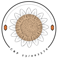 Logotipo da empresa CLINICA ALENTO