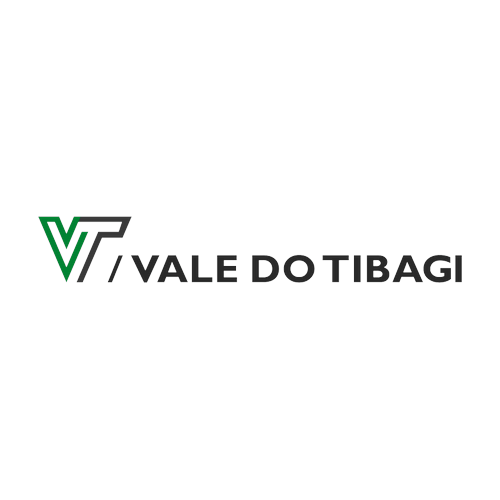 Logotipo da empresa VALE DO TIBAGI TRANSPORTE FLORESTAL LTDA