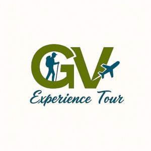Logotipo da empresa WETILLI DA SILVA VIANA