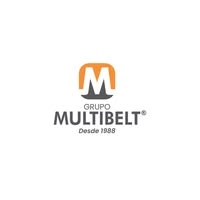 Logotipo da empresa MULTIBELT PROPERTIES LTDA