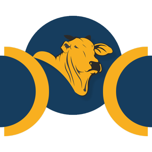 Logotipo da empresa DOC EXPORT BRAZIL