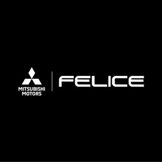 Logo de FELICE AUTOMOTORES LTDA