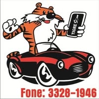 Logotipo da empresa TIGRE SOM