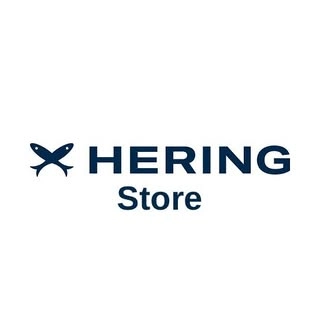 Logotipo da empresa H STORE