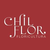 Logotipo da empresa CHILFLOR PRODUCAO E COMERCIO DE FLORES LTDA
