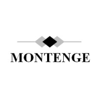Logotipo da empresa MONTENGE