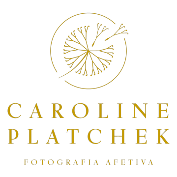 Logotipo da empresa INDUSTRIA DE FOSFOROS CATARINENSE LTDA