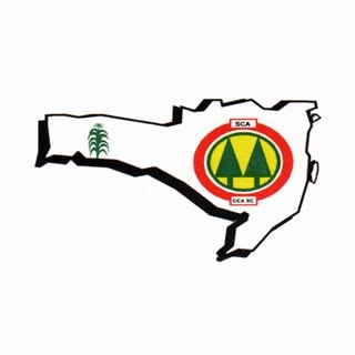 Logotipo da empresa CCA SC