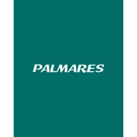 Logotipo da empresa EXPRESSO PALMARES