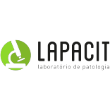 Logotipo da empresa LAPACIT