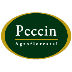Logotipo da empresa PECCIN AGRO FLORESTAL LTDA.