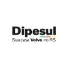 Logotipo da empresa DIPESUL VEICULOS LTDA