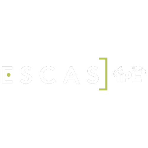 Logotipo da empresa ESCAS