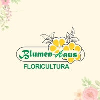 Logotipo da empresa NOELI T TELOEKEN