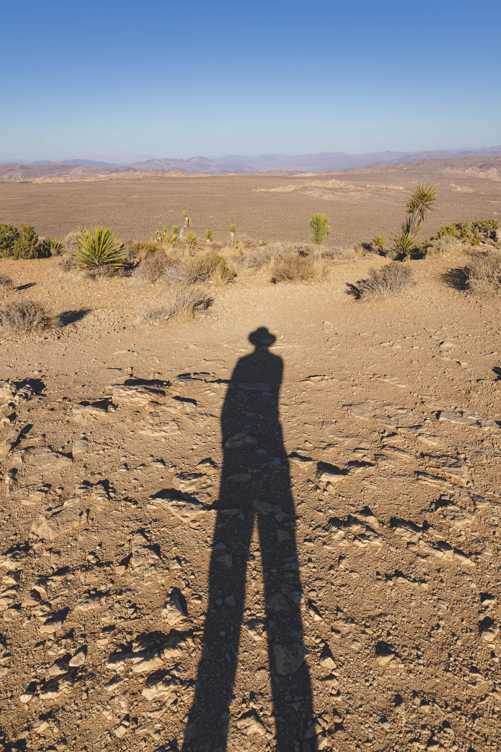 Me at the summit of Ryan Mountain