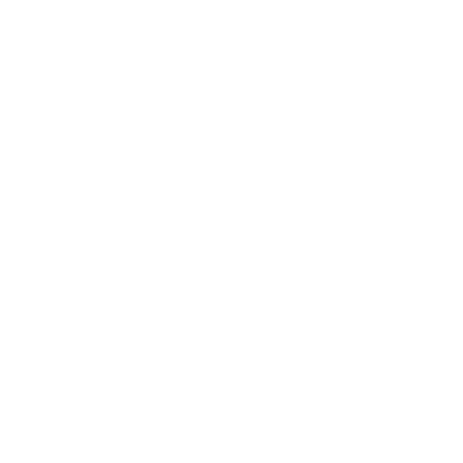 AC Disaster Consulting logo