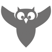 BIRD Aerosystems logo