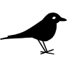 Blackbird Collective logo