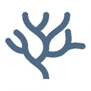 BLUE HEALTHCARE logo