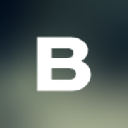 Bruce Studios logo