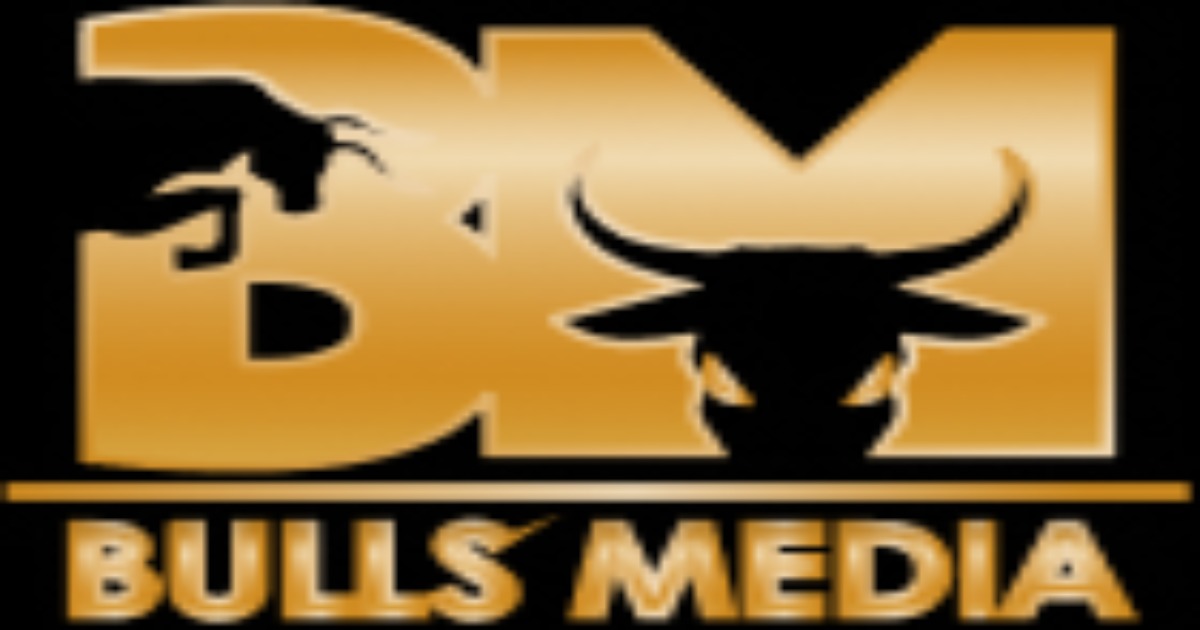 Bulls Media logo