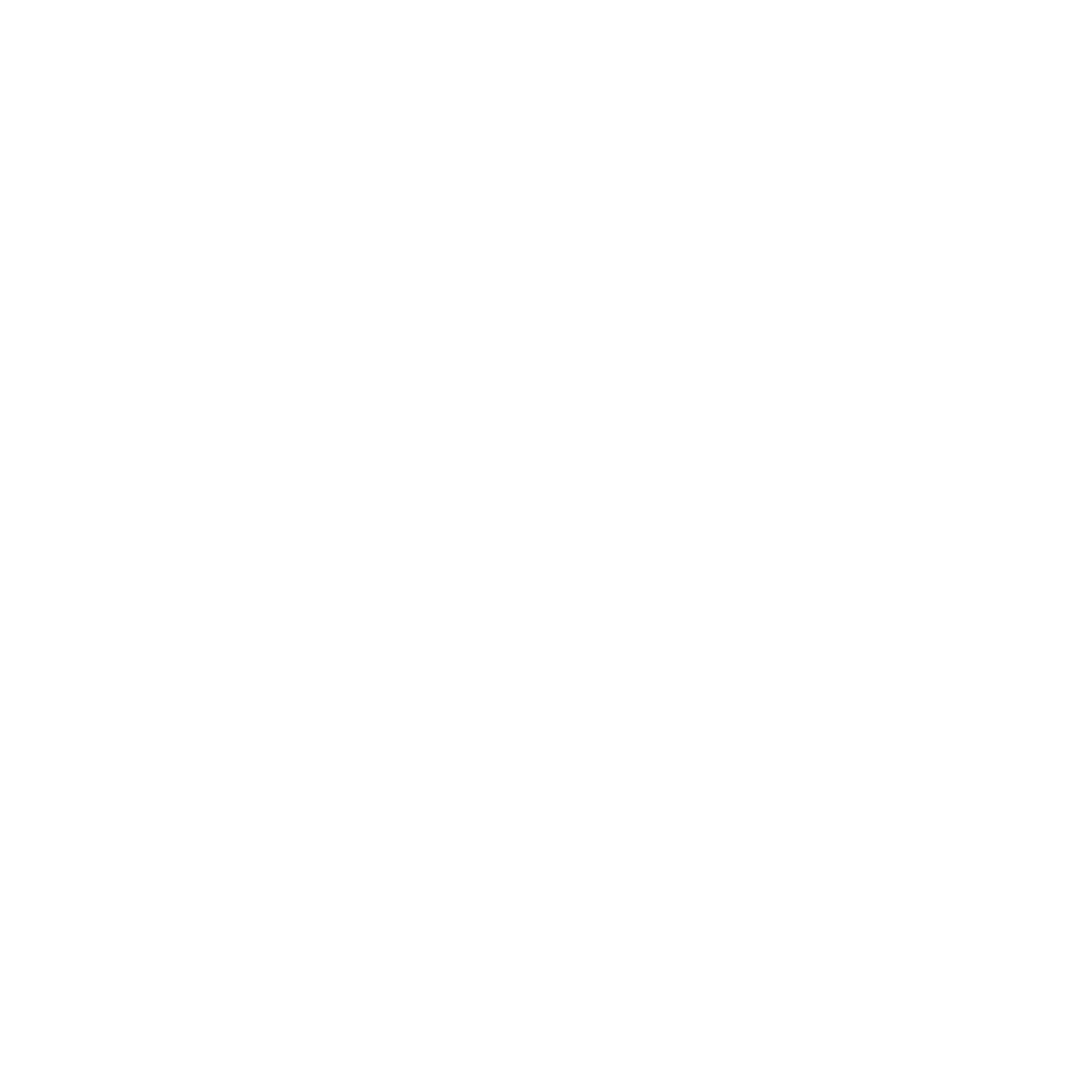 DEINZER + WEYLAND GmbH logo