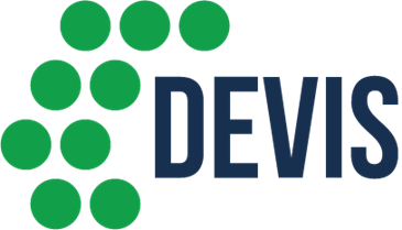 developmentinfostructure logo