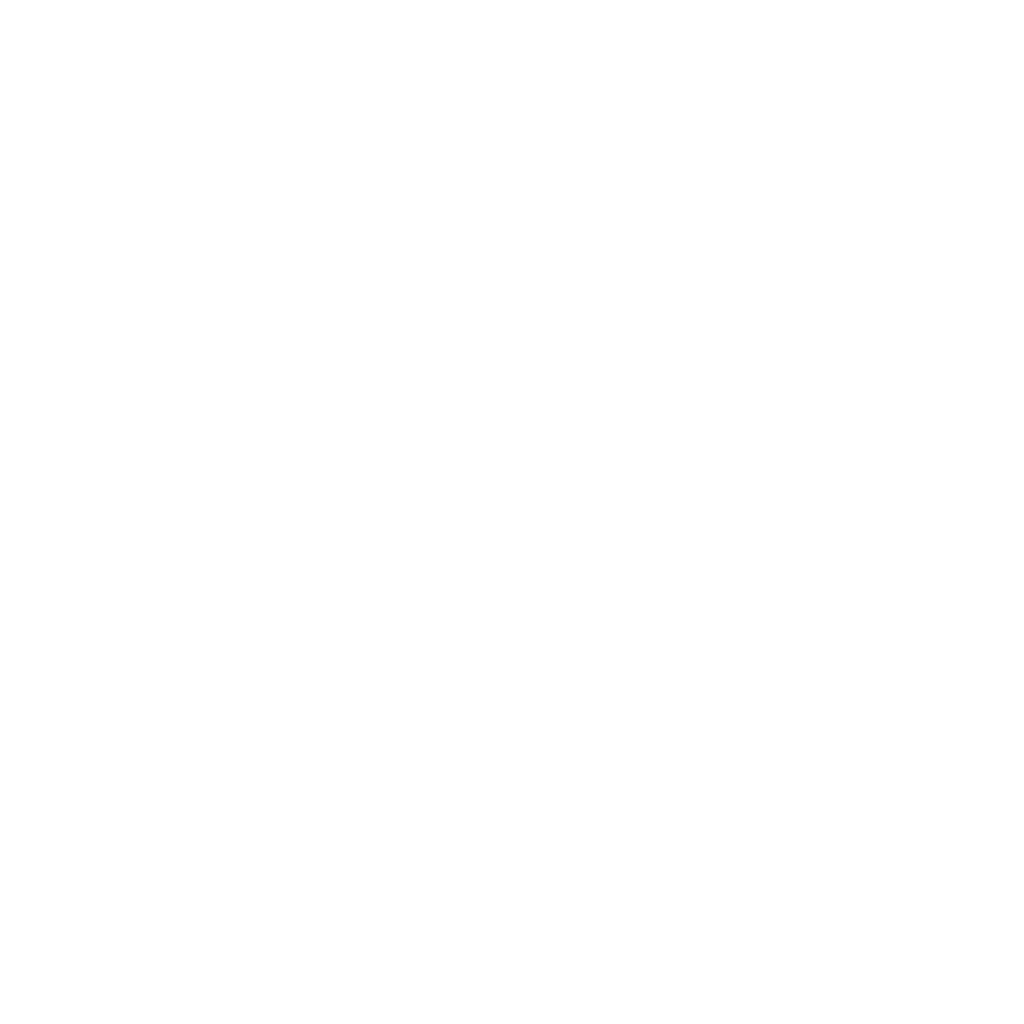 ENLITE logo