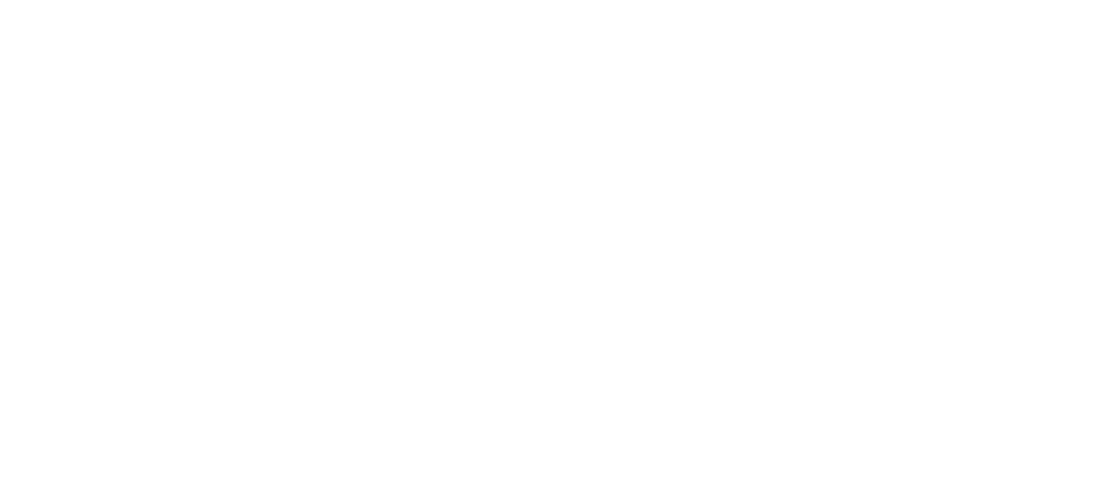 Firework logo