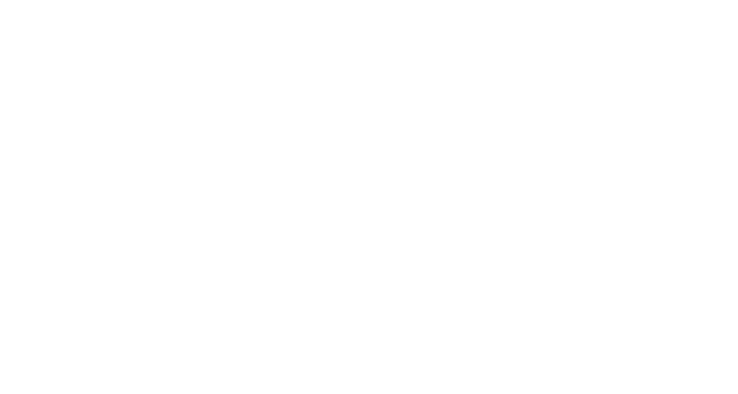 Flint Studio logo