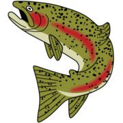 Katmai logo