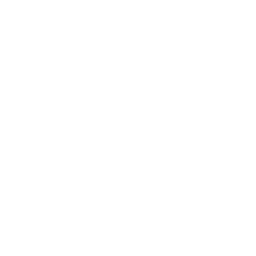 Old Mission Capital LLC