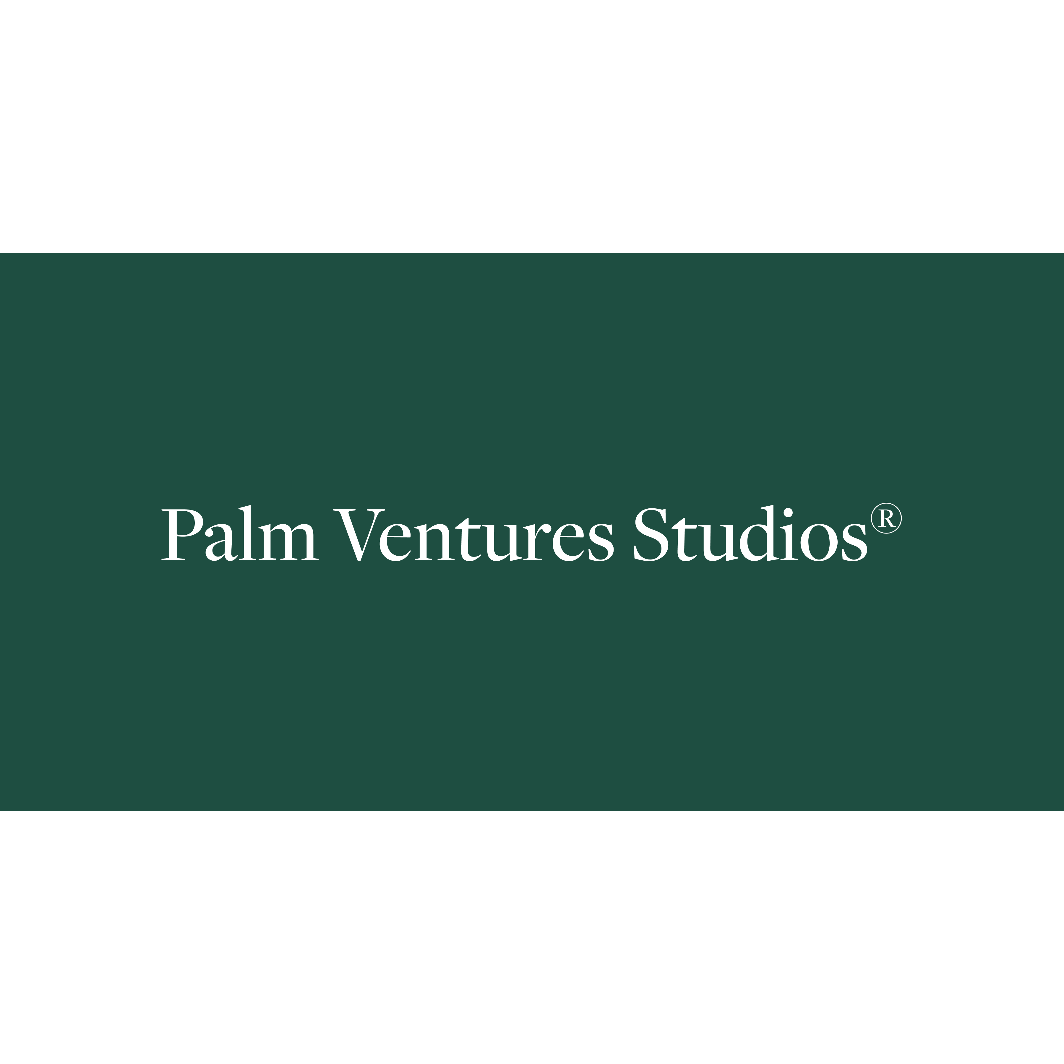 Palm Venture Studios logo
