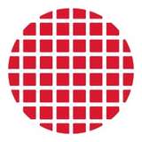 Polar Semiconductor logo