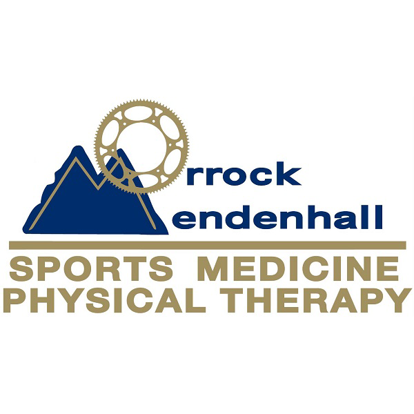 Professional Physical Therapy logo