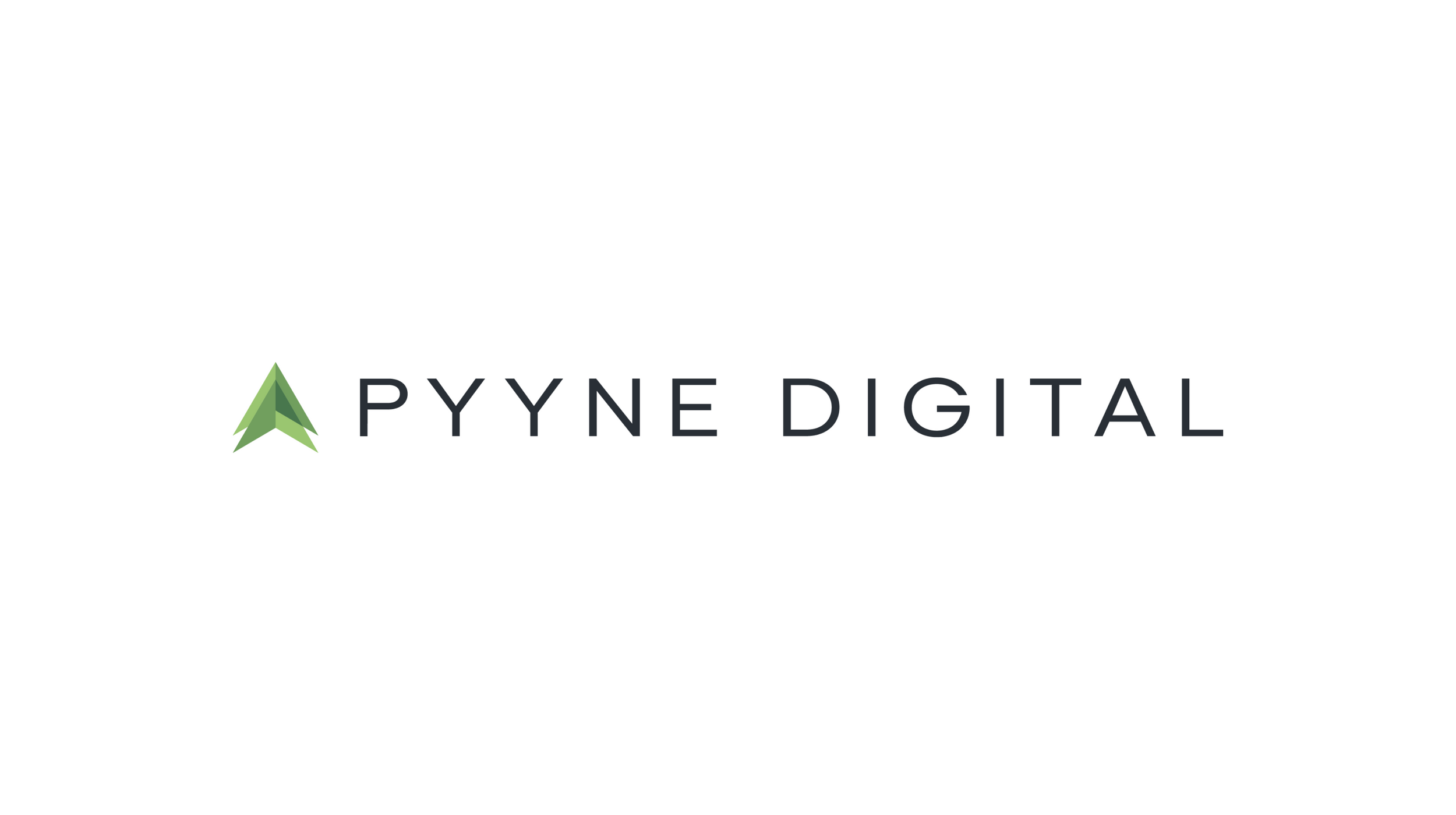 Pyyne logo