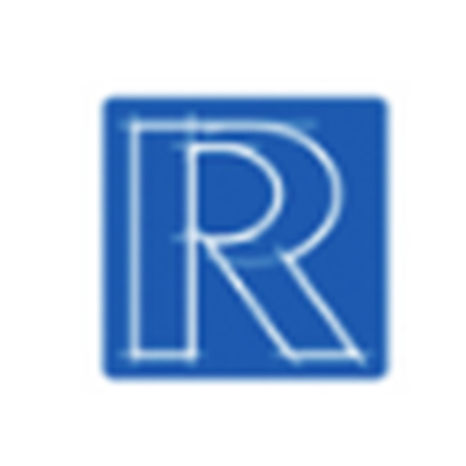 Raible + Partner GmbH & Co. KG logo