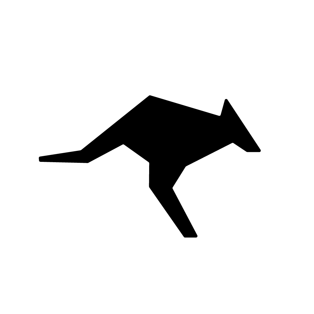 roo-code