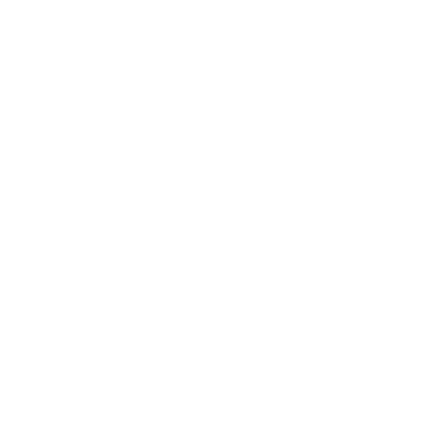 Sourcian Partner logo