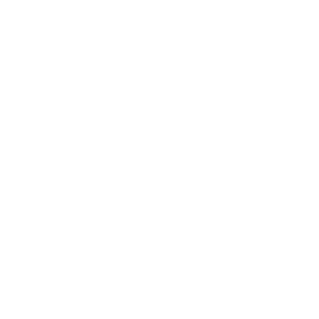 The Platform Group AG logo