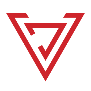 vdsconsultinggroup