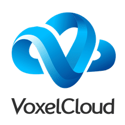 VoxelCloud logo